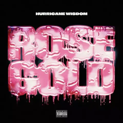 Hurricane Wisdom – Rose Gold cover