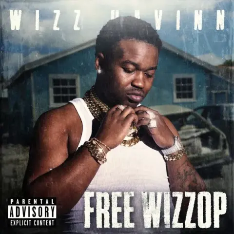 Wizz Havinn – Chirpin cover