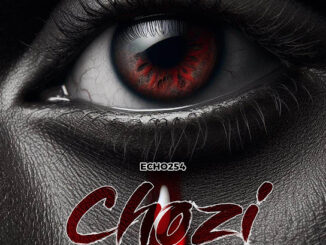 Echo 254 - Chozi