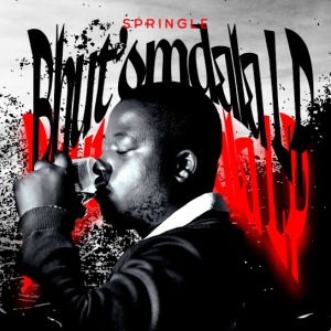 Springle – Halala (Bonus Track) ft. Mr Nation Thingz & T&T MuziQ